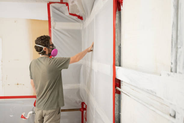 Mold Remediation for Rental Properties in Greenville, FL