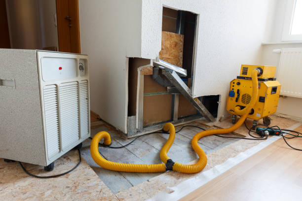 Best Emergency Mold Remediation  in Greenville, FL