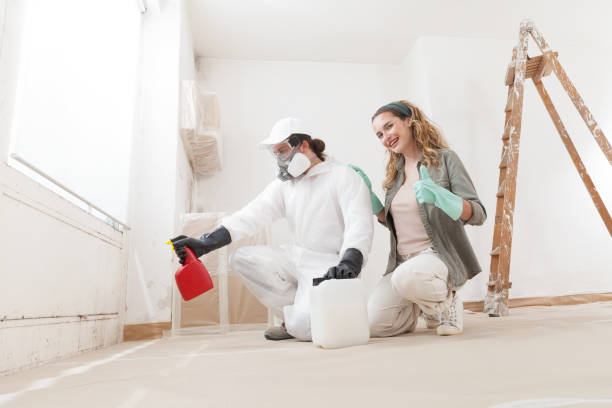 Best Mold Documentation for Insurance Claims  in Greenville, FL