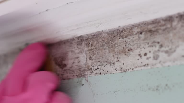 Best Indoor Air Quality Assessment  in Greenville, FL